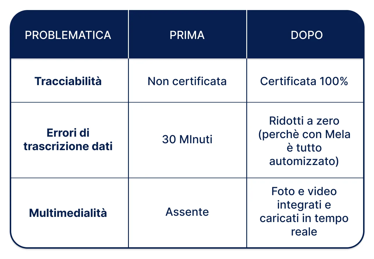 Schema