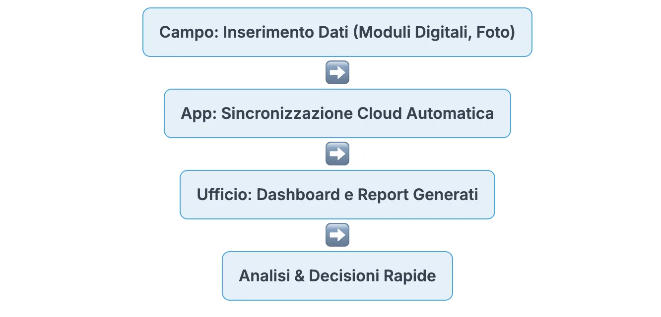 Screenshot 2025 07 31 alle 15 56 30