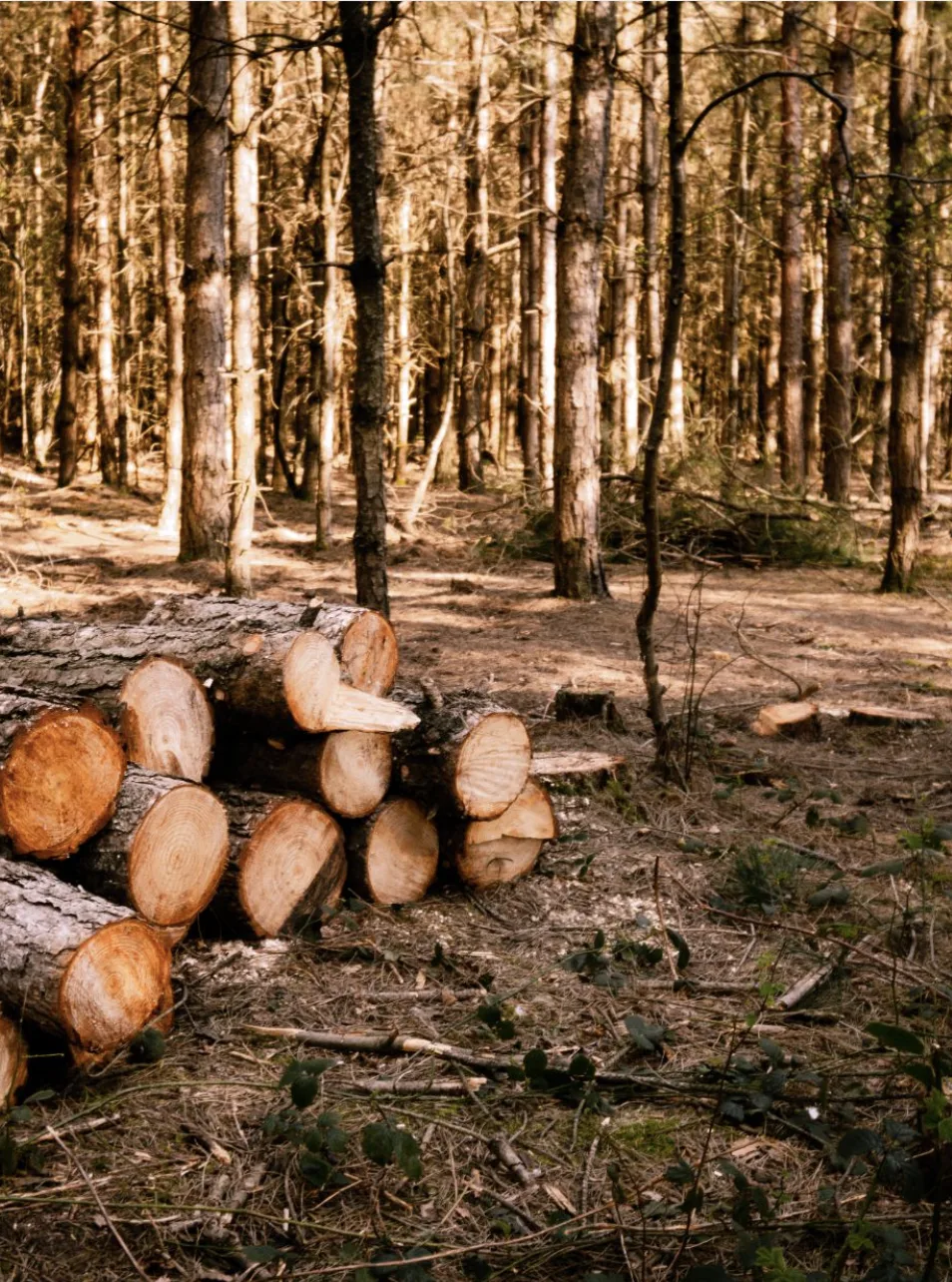 Clean Shot 2025 09 16 at 16 09 36 2x