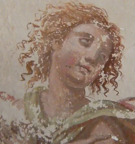 Cesa Beni Culturali