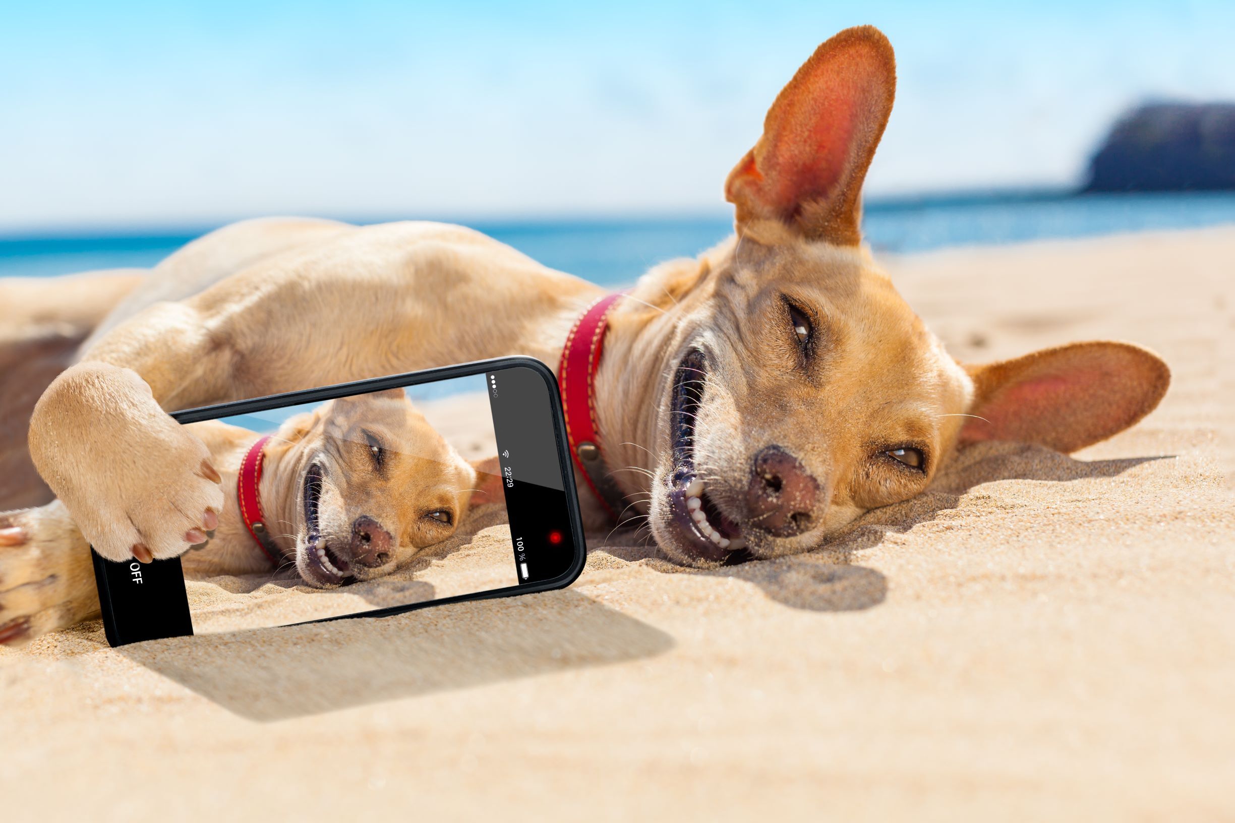 Nützliche Apps für die Baustelle