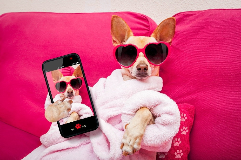 Nützliche Apps für die Baustelle